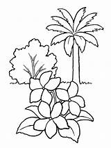 Drawing Flower Tree Line Plants Plant Flowers Outline Bush Trees Bushes Clipart Simple Getdrawings Leaves Palm Nursery Draw Drawings Rose sketch template