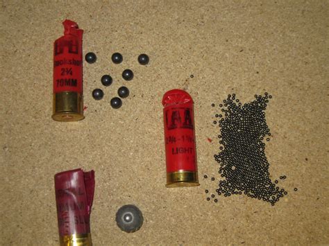 Home Defense Shell Size Recommendation Page The Firearms Forum