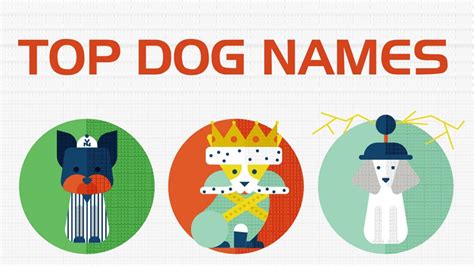 Top 10 Dog Names Of 2014