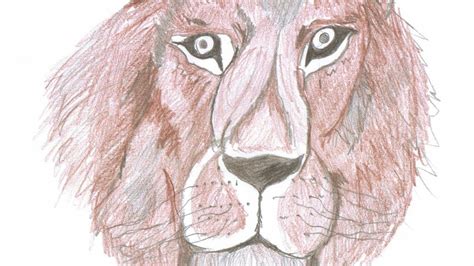 Cómo Dibujar Una Cara De León How To Draw A Lion Face Free Nude