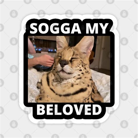 Sogga My Beloved Serval Meme Cat Meme Sogga My Beloved Magnet
