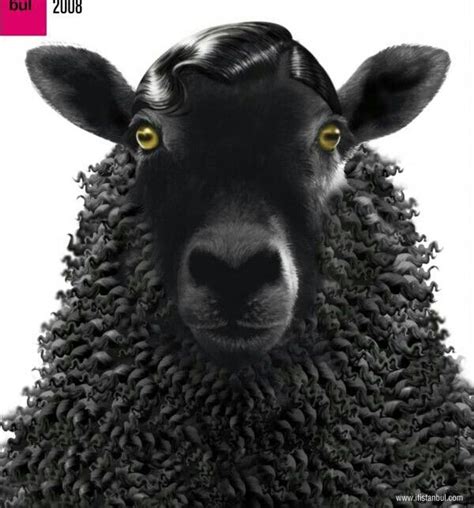 See more ideas about hair quotes, hairstylist quotes, hair humor. 20 best Black Sheep images on Pinterest | Black sheep ...