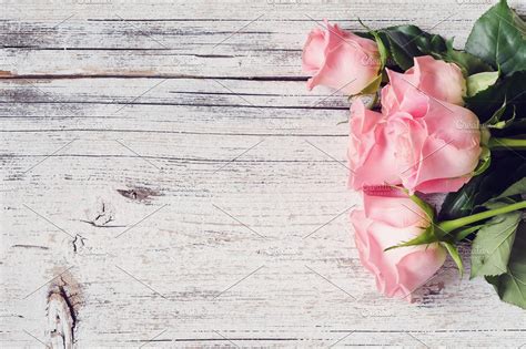 Pink Roses Vintage Background High Quality Abstract Stock Photos