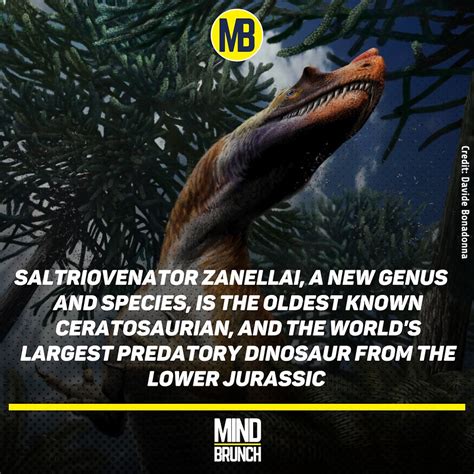 The Oldest Large Sized Predatory Dinosaur Found In The Italian Alps