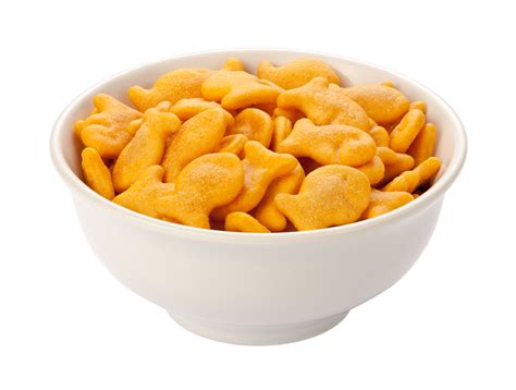 Just about all fish is safe for cats to eat in small quantities. Can dogs eat Goldfish crackers? - BarkSpace
