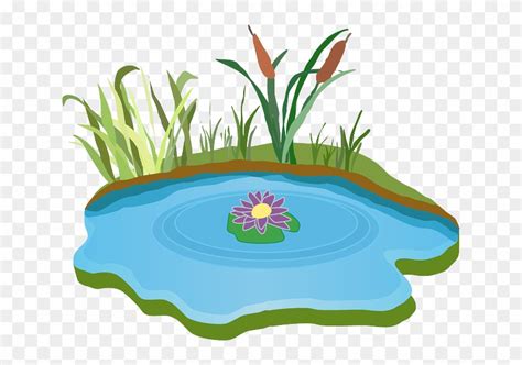 Pond Water Outdoor Grass Pond Clipart Free Transparent Png
