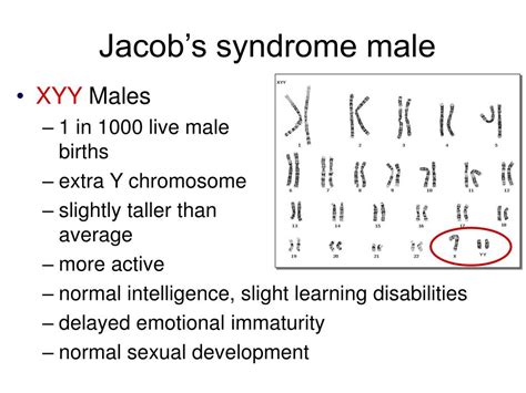 PPT Chromosomal Abnormalities Errors Of Meiosis PowerPoint