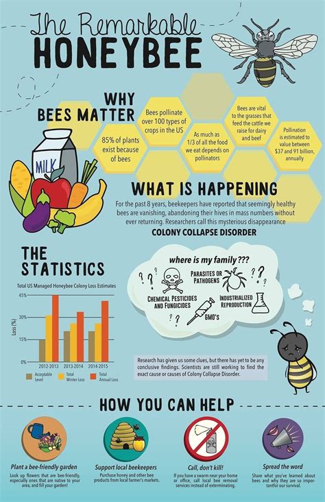 The Remarkable Honeybee Bee Facts Honey Bee Facts Bee
