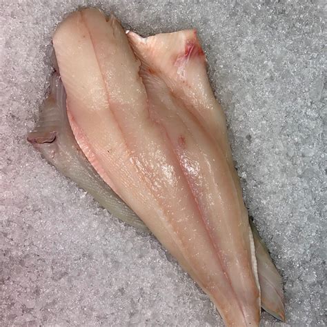 Fresh Halibut Fillets Glasgows Fish Plaice Uk Delivery