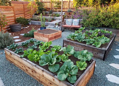 Best Plants For A Raised Garden Bed