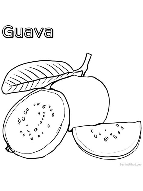 What kind of food does a fruit taste like? Guava Coloring Page Free