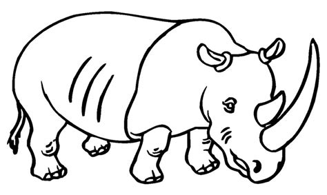 Desenhos De Rinoceronte Para Colorir Pop Lembrancinhas