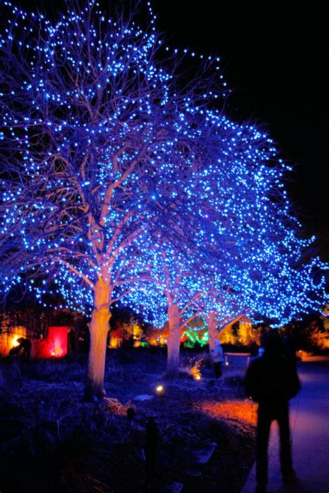¿has estado en chicago botanic garden? Denver Botanical Garden Christmas Lights | Flickr - Photo ...