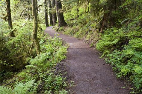 8 Important Things About Oregon National Forests