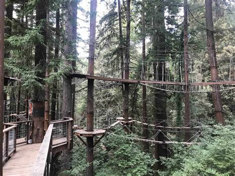 If you're a sports fan, mount hermon redwood canopy tours in felton is the place you want to be. Mount Hermon Redwood Canopy Tours Reviews | Santa Cruz ...