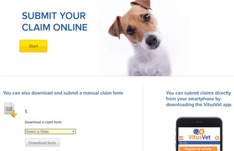 You can submit via mail, fax or email. Nationwide Pet Insurance Reviews by Experts & Customers 2020 - Best Reviews