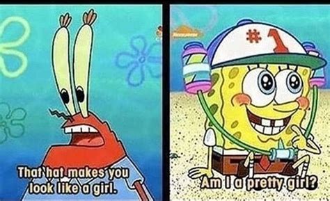 fun fact sponges have both genders best spongebob quotes funny spongebob memes funny memes