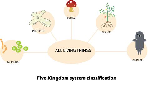 Five Kingdom Classification Monera