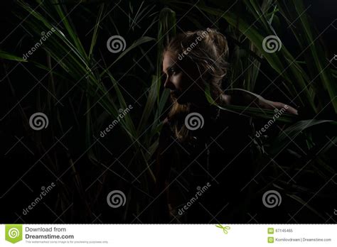 Glamoure Woman Stock Image Image Of Bamboo Girl Perfect
