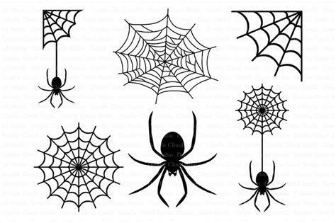 Spiders and Spider Web SVG files | Illustrations ~ Creative Market