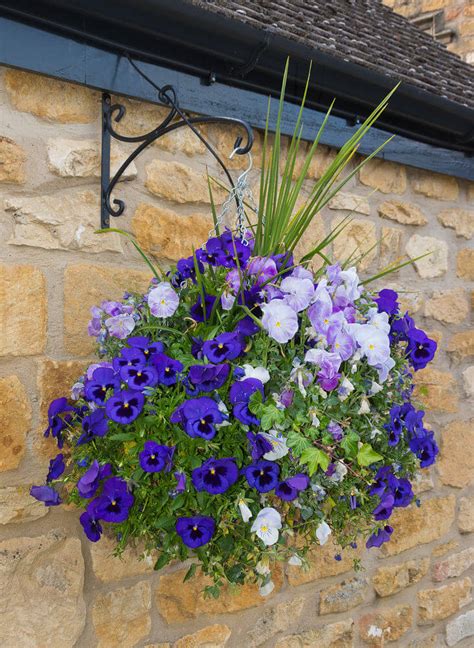 70 Hanging Flower Planter Ideas Photos And Top 10