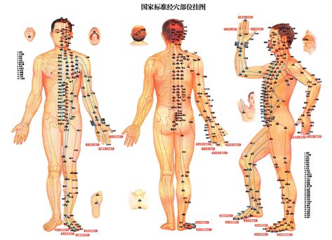 Installation professionnelle en tant que médecin acupuncteur. L'acupuncture sans aiguilles pour votre confort quotidien ...