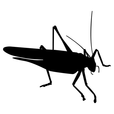 Cricket Silhouette Free Stock Photo Public Domain Pictures
