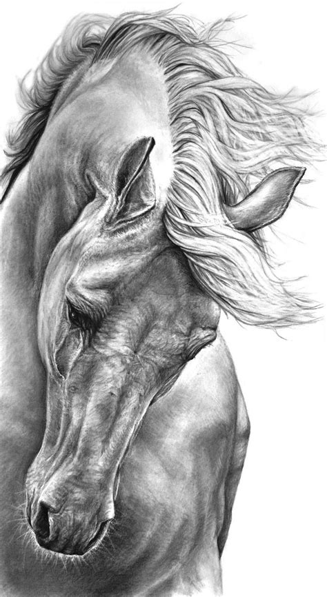 Pencil Sketches Of Horses Pencil Sketches Of Horse Best 25 Horse