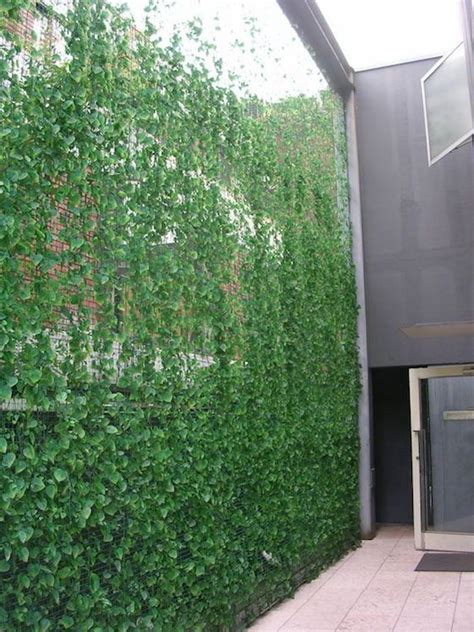 18 Outdoor Privacy Screens Youll Like Shelterness