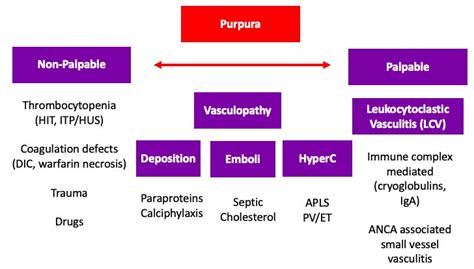 Causes Of Purpura Differential Diagnosis Non Palpabie Grepmed