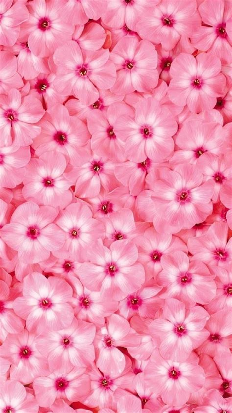 Pink Flowers Wallpaper By Sonia 11 Free On Zedge™ Pink