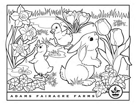 We did not find results for: Easter Coloring Pages | Adams Fairacre Farms