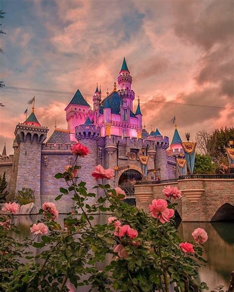 Castle Disneyland Disney World Trip Disney Photography