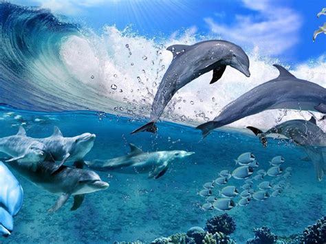 Happy Dolphins Game Sea Fish Coral Waves Summer Wallpaper
