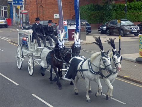 Hearse Carriage And Horses Pershore Road Selly Park A Photo On