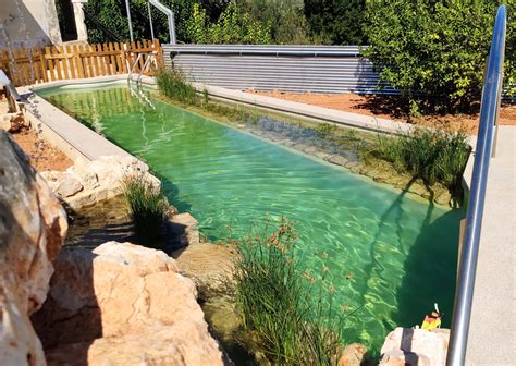 Cómo hacer piscinas ecológicas Guía completa de construcción