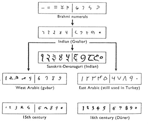 The History And Evolution Of Numbers Free Essay Example