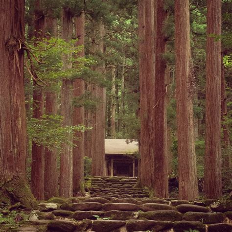 Unveiling The Beauty Of Japan — No380 At Heisenji Hakusan Shrine