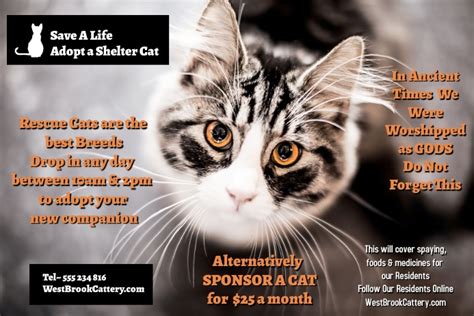 Copy Of Adopt A Cat Shelter Postermywall