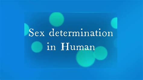 Sex Determination In Human By Sanjay Lad Sir Principles Of Inheritance Variation Sex