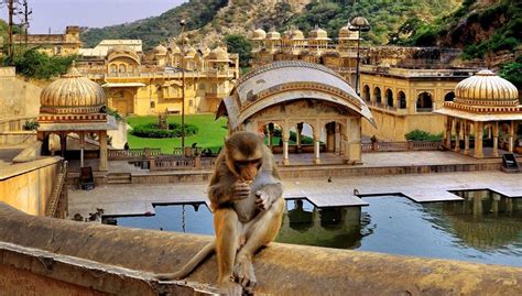 Top 10 Heritage Temples In Jaipur Worth Visiting Jaipur Stuff