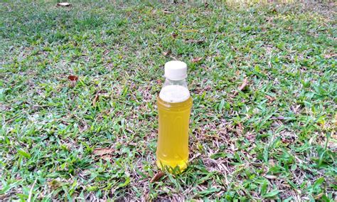 What Is A Pee Bottle How To Use Backpacking 101 Greenbelly Meals