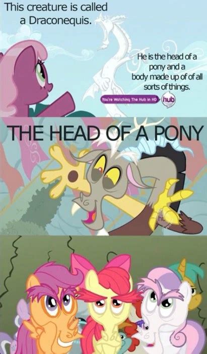 What A Terrifying Pony My Little Brony My Little Pony Friendship