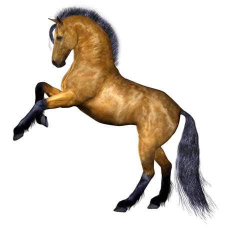 Download Horse Png Image Download Picture Transparent Background Hq Png