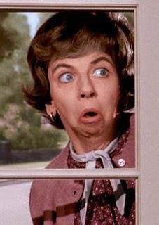 Bewitched ABC Alice Pearce As Gladys Kravitz Actresses Bewitched
