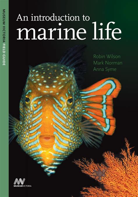 An Introduction To Marine Life Nokomis