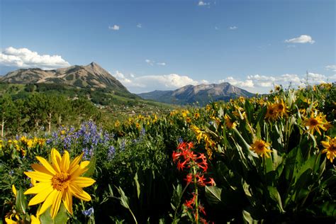 5 Glorious Colorado Hiking Trails
