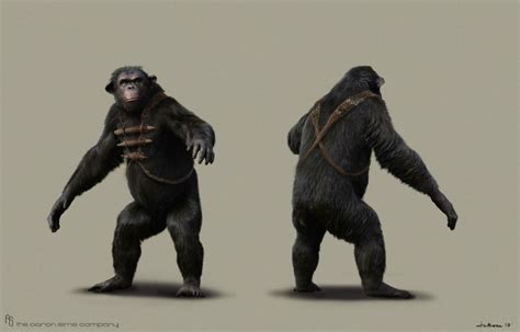 Dawn Of The Planet Of The Apes Concept Art Planet Of The Apes Dawn