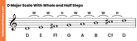 D Major Scale A Complete Guide