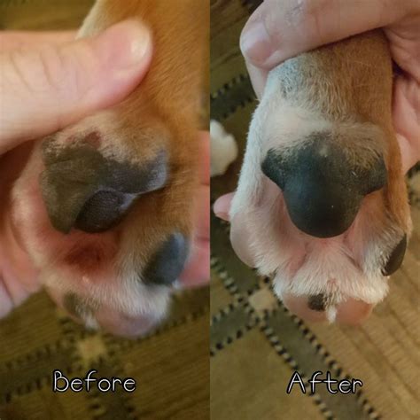 Paw Soother® Dog Paw Pads Dry Dog Paws Dry Paws